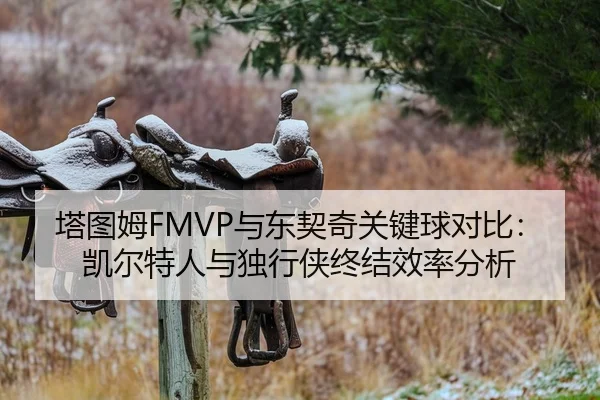 塔图姆FMVP与东契奇关键球对比：凯尔特人与独行侠终结效率分析