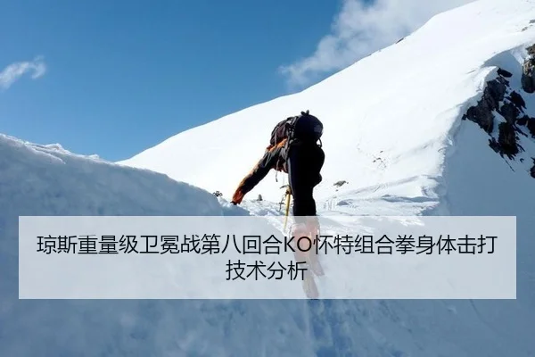 琼斯重量级卫冕战第八回合KO怀特组合拳身体击打技术分析